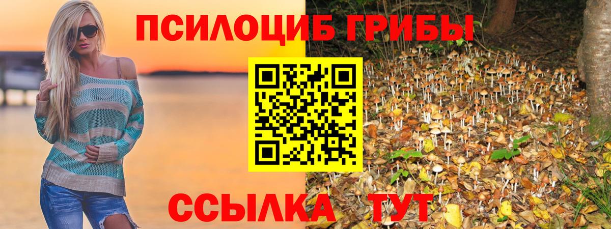 Галлюциногенные грибы MAGIC MUSHROOMS Алексин