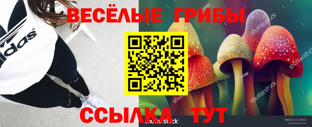 Галлюциногенные грибы Psilocybe  Галлюциногенные грибы ЛСД  Алексин  Вход с VPN 